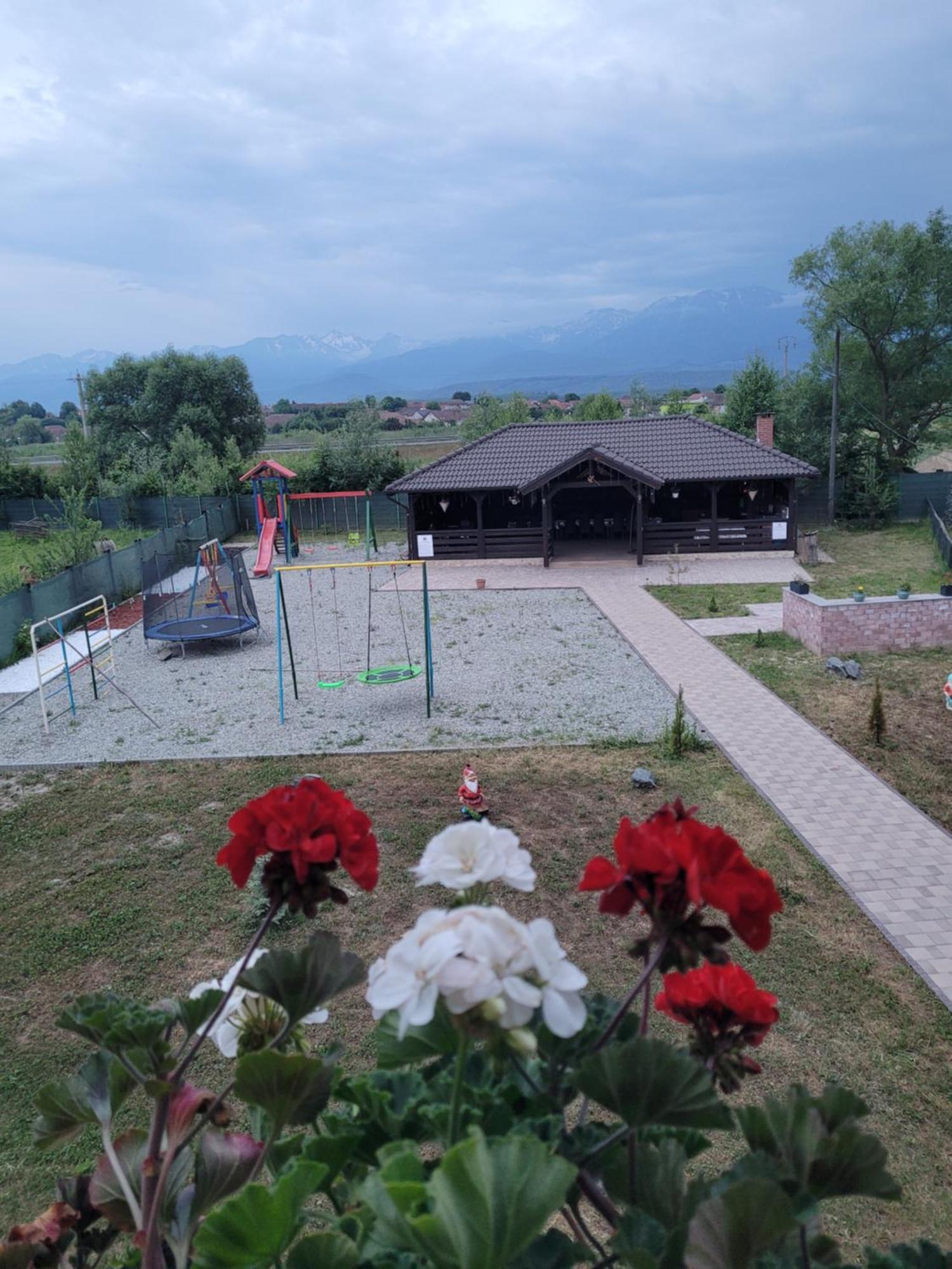 Villa Casa Sofia Avrig Esterno foto